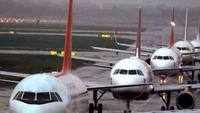 Family of 4 charters Airbus A320 from Bhopal to Delhi 