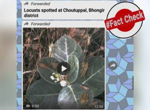 Fact Check: Video showing locusts in Telangana’s Bhongir district is false