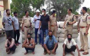 झांसी पुलिस और STF ने पकड़ा डेढ़ करोड़ कीमत का गांजा, चार तस्कर गिरफ्तार