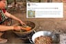 Locust Fry? Internet is Swarming with Old 'Tidde' Recipes as Pests Attack Crops