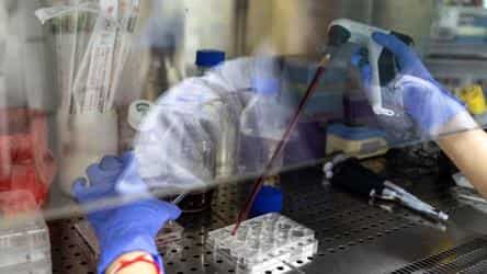 WHO, 37 nations launch alliance to share tools to tackle Covid-19 pandemic