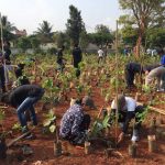 Podcast: Why we need to plant more native tree species in Bengaluru