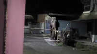 Elephants searching food, stray into Siliguri’s residential colony 