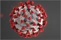 coronavirus death