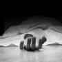 Bhopal: Denial of treatment at 3 hospitals caused pregnant woman’s death, alleges husband